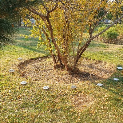 چراغ خورشیدی دیسکی 8 ال ای دی