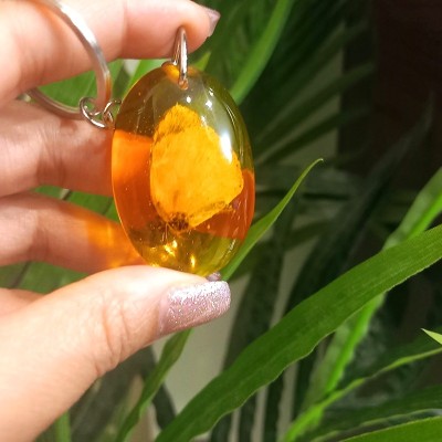 جاکلیدی فسیل طرح شاپرک جاکلیدی فسیل طرح شاپرک